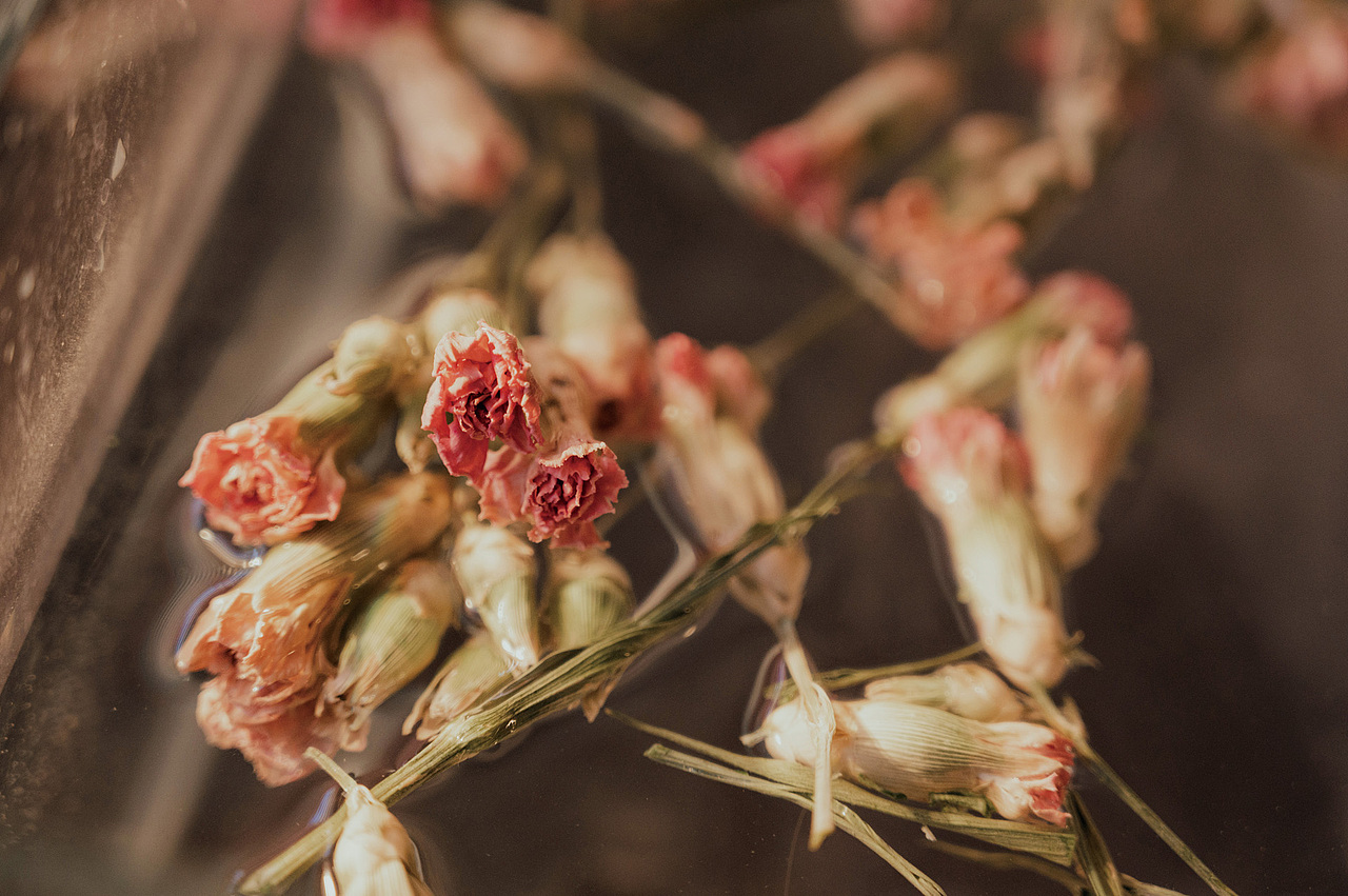 池中花（圖ZMjY1NDM0NTgw） - 人像攝影 - 站酷設(shè)計師白夜行原創(chuàng)素材 - 站酷ZCOOL