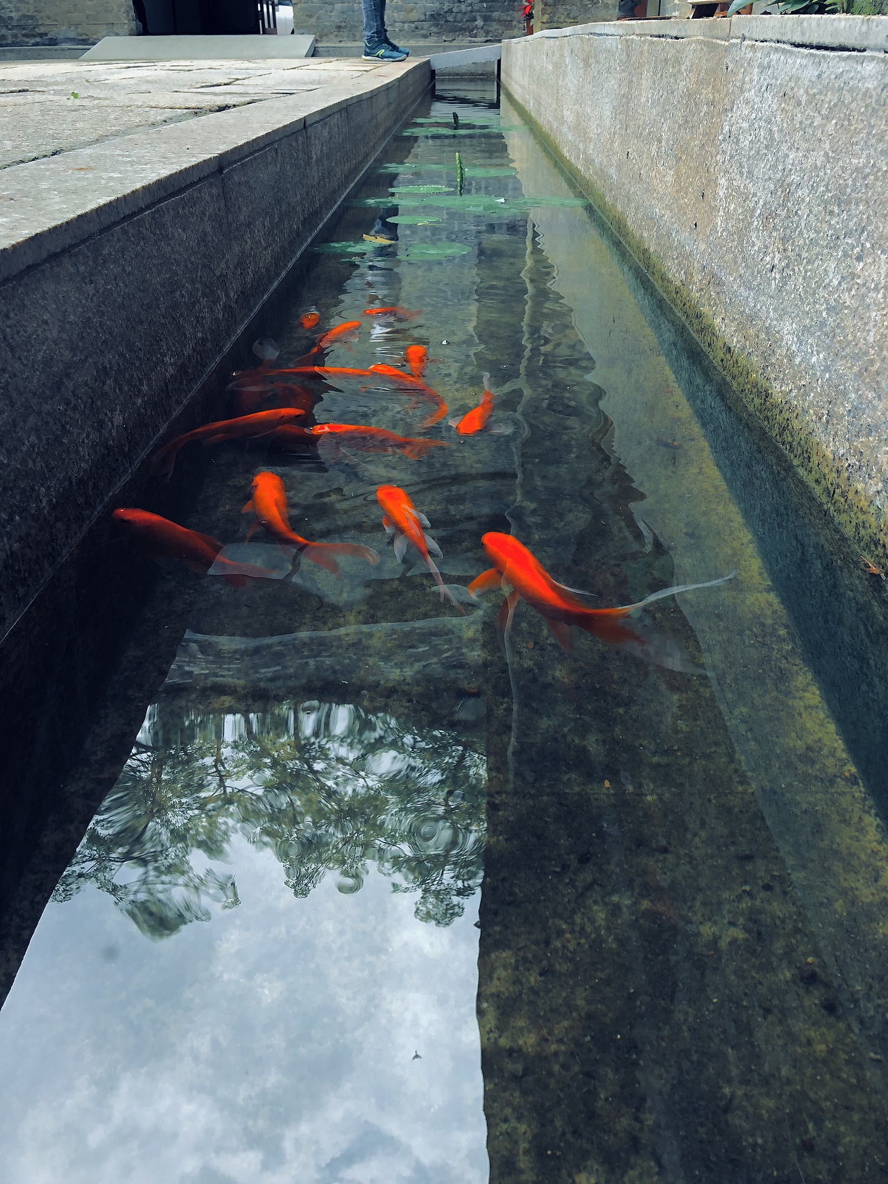 霎眼廿七歲時日無多不敢偷懶（圖ZMTE3MzY4NTE2） - 風光攝影 - 站酷設計師Gavinskywalker原創(chuàng)素材 - 站酷ZCOOL