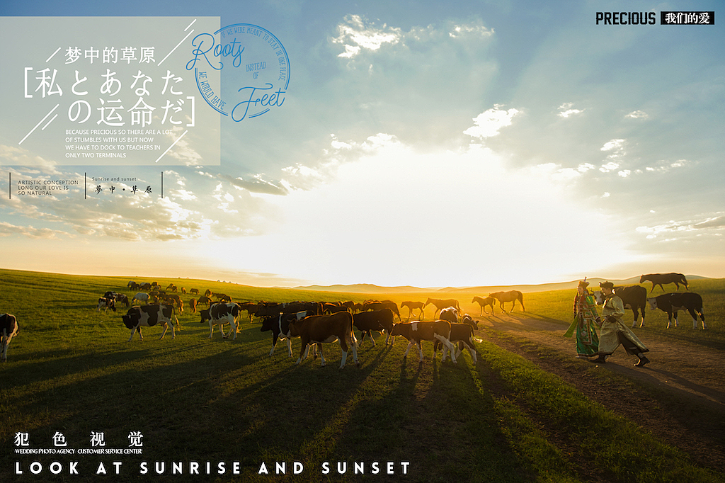 内蒙古呼伦贝尔旅拍婚纱照草原上你是镜头里最美的风景