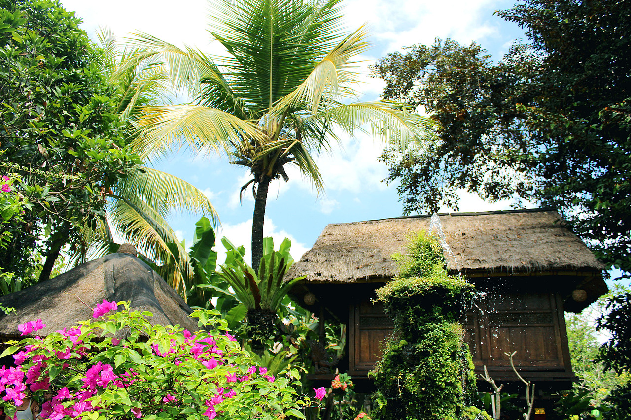 巴厘岛风景2