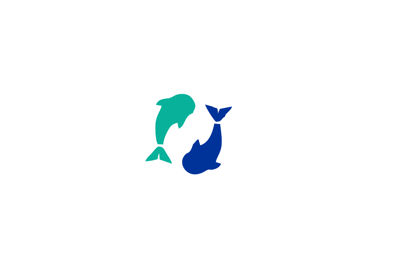 寿司以海产品为主
