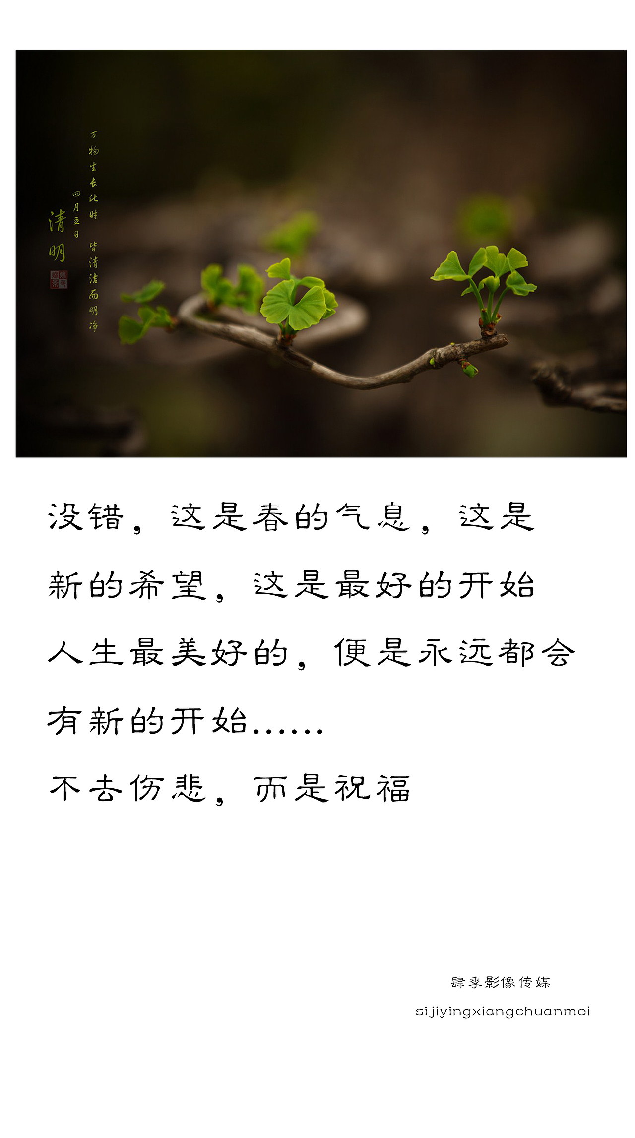 清明,我那尘封已久的思念