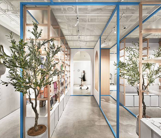 Noblepets诺宝派宠物谁设计的 那家(哪个)公司设计的