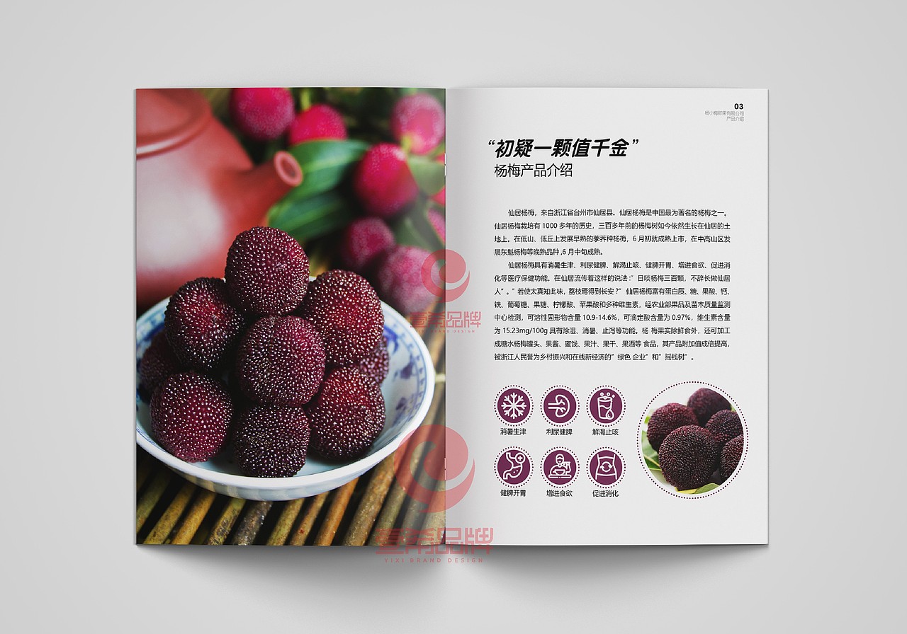 一希品牌设计--杨梅种植公司画册宣传册设计