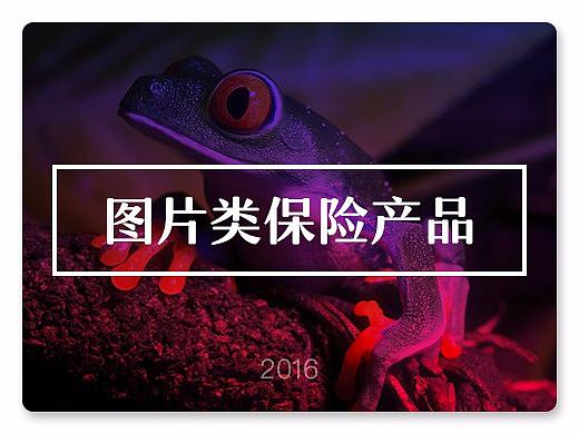 图片类产品包装页面设计