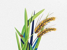 小满