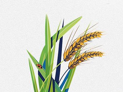 小满