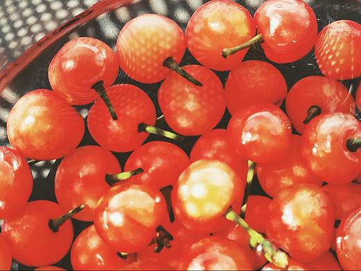 手机里的山河湖海（个人主页-ZNDQ3NDExMDg=） - 人文/纪实摄影 - 站酷设计师骆小洛的世界原创素材 - 站酷ZCOOL