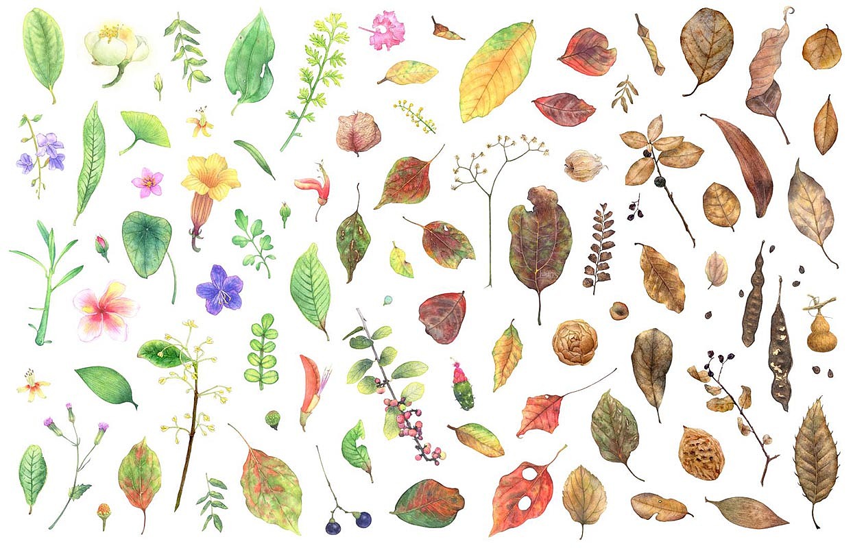 拼了个图（图ZMjEwMTExMTc2） - 商业插画 - 站酷设计师Oaim原创素材 - 站酷ZCOOL