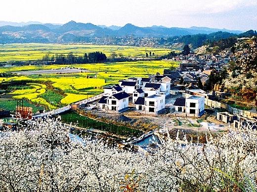 村史馆