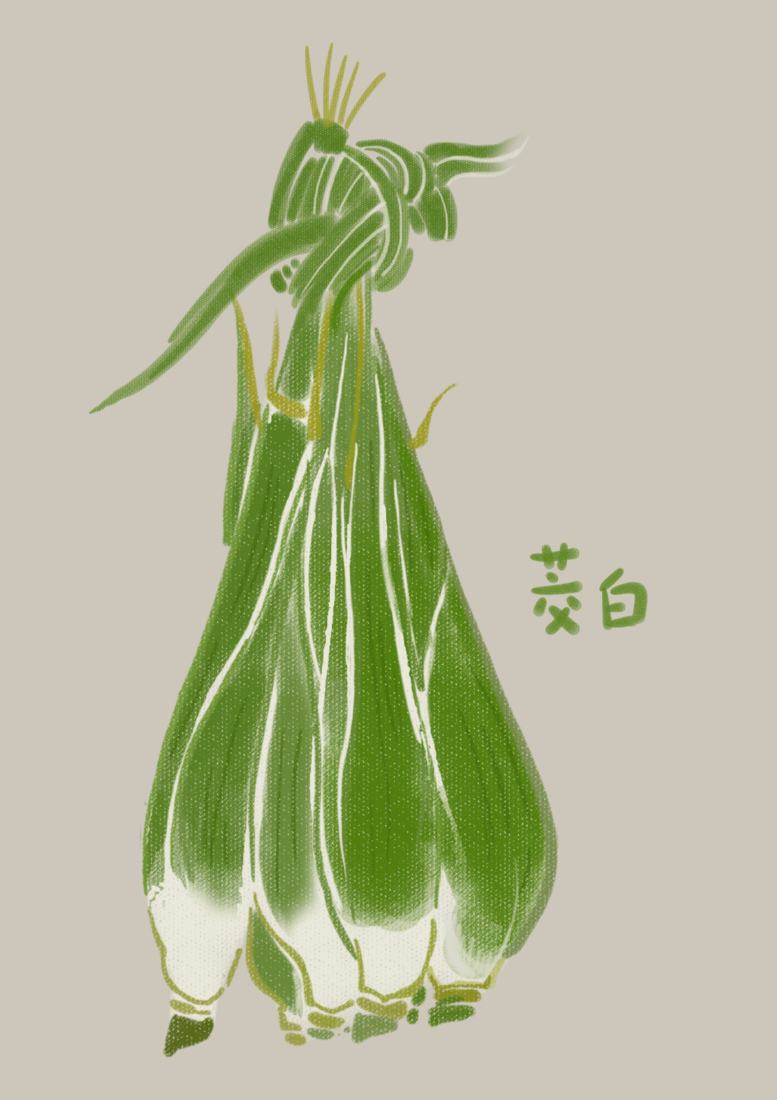 茭白|插画|商业插画|阿珂miuki - 原创作品 - 站酷 (zcool)