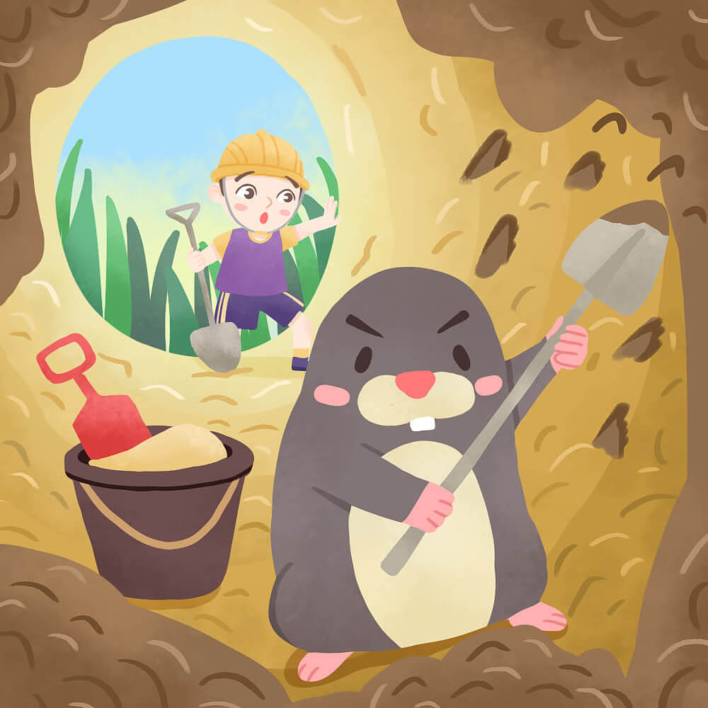 可以跟着小鼹鼠探索地下的秘密