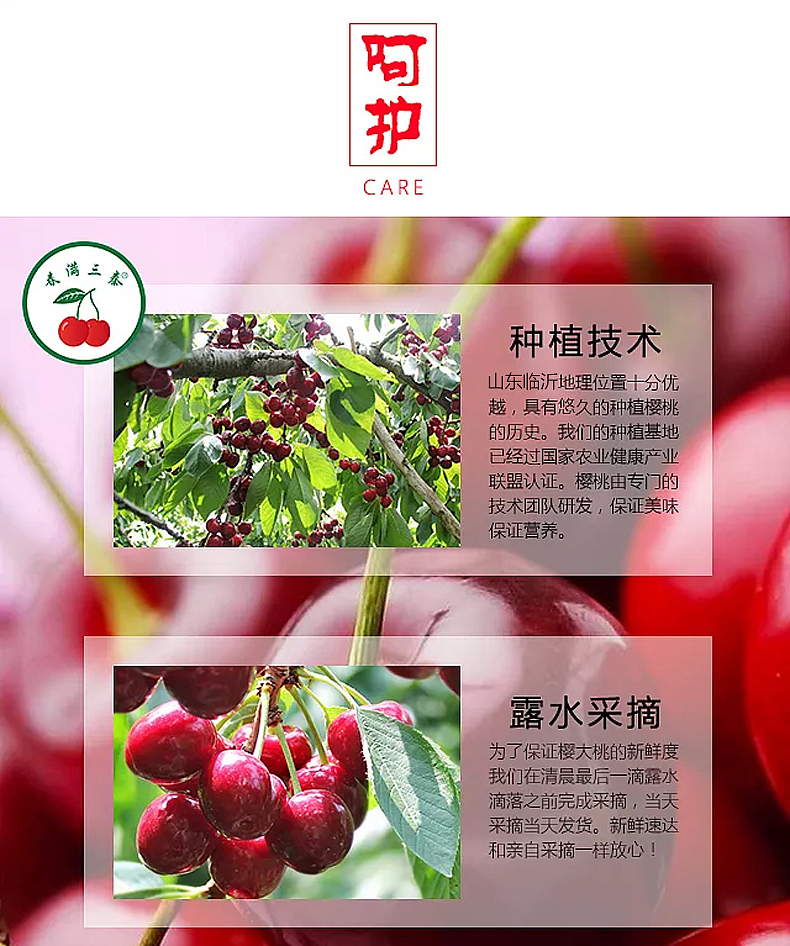 大樱桃详情 淘宝天猫坑多多详情（图ZMTM3ODc3NTQw） - 电商 - 站酷设计师Z79147153原创素材 - 站酷ZCOOL