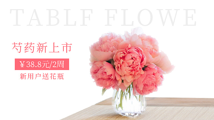 花banner - 原创作品 - 站酷(zcool)