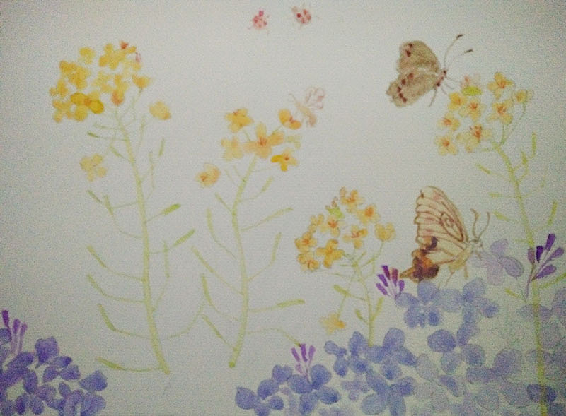 【油菜花】【堇菜花】（图ZMTA5MDU0NDEy） - 绘画 - 站酷设计师娃娃198802殿下原创素材 - 站酷ZCOOL
