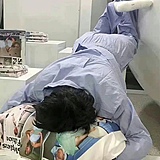 拉普拉斯兽的头像