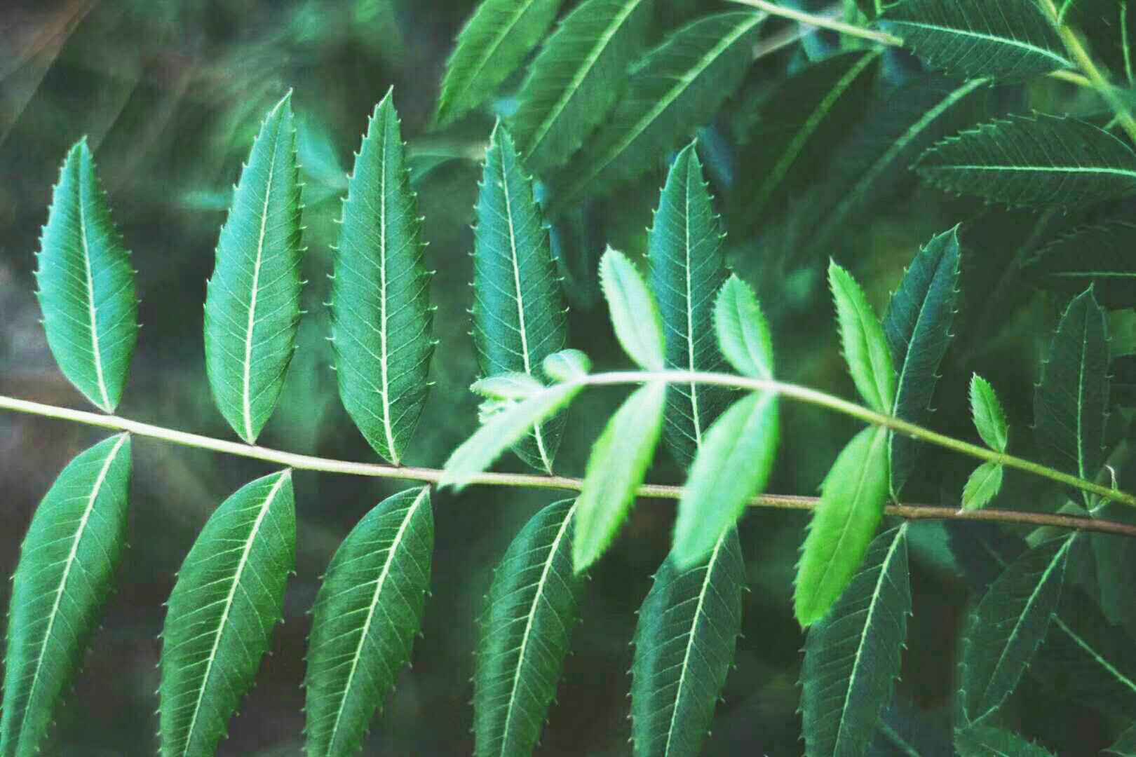 做设计的小星的个人主页（封面预览） - 主页封面设置 - 站酷设计师做设计的小星原创素材 - 站酷ZCOOL