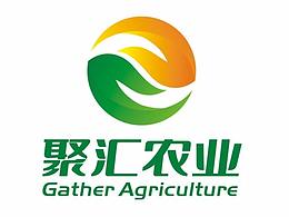 课堂收藏