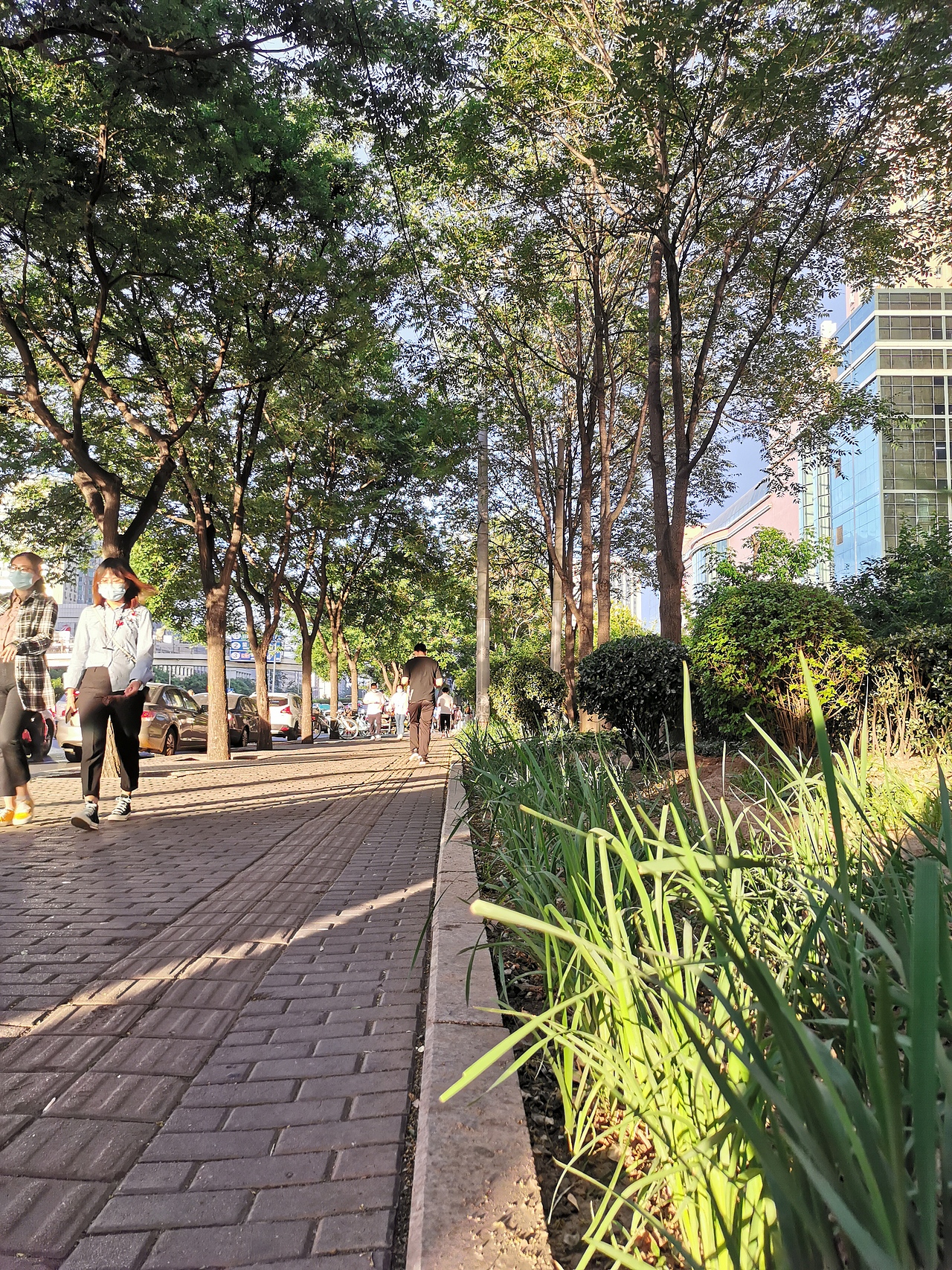 记录:手机镜头里的北京——下班路上