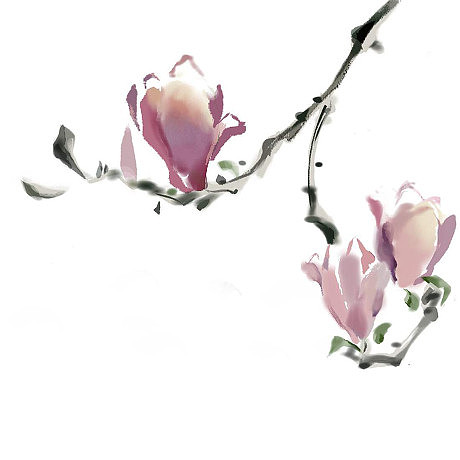 玉兰花，工笔人物（手绘板练习）（图ZNDcwNTQ1MTI=） - 创作习作 - 站酷设计师东北一颗葱原创素材 - 站酷ZCOOL