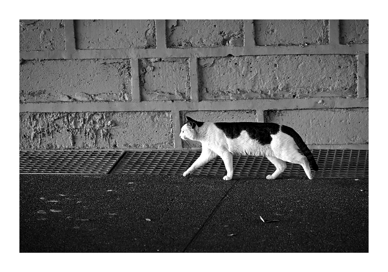 Our life | 黑白摄影（图ZMzU3NTg4NzEy） - 人文/纪实摄影 - 站酷设计师Shadow_Yao原创素材 - 站酷ZCOOL