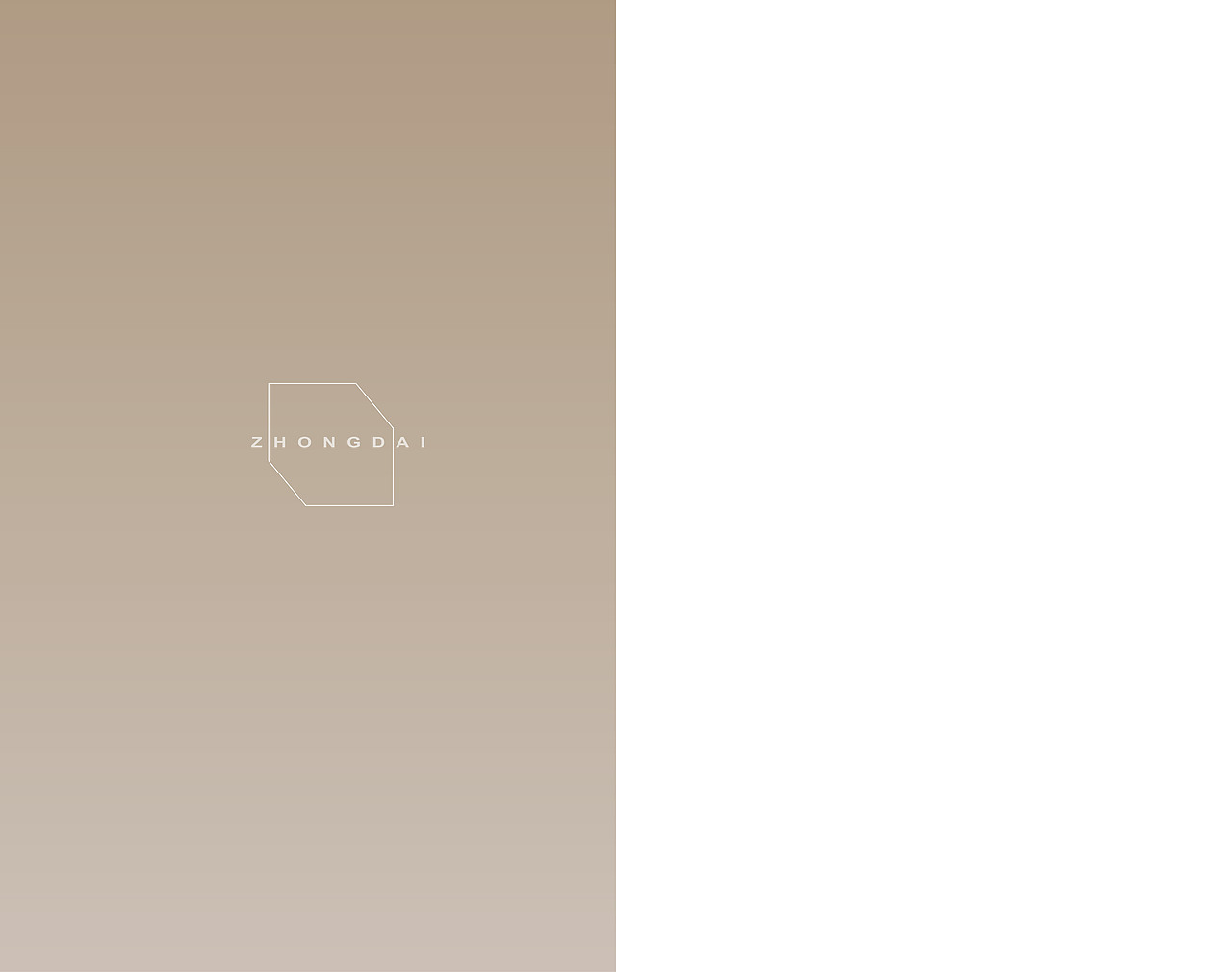 中贷商业广场楼书