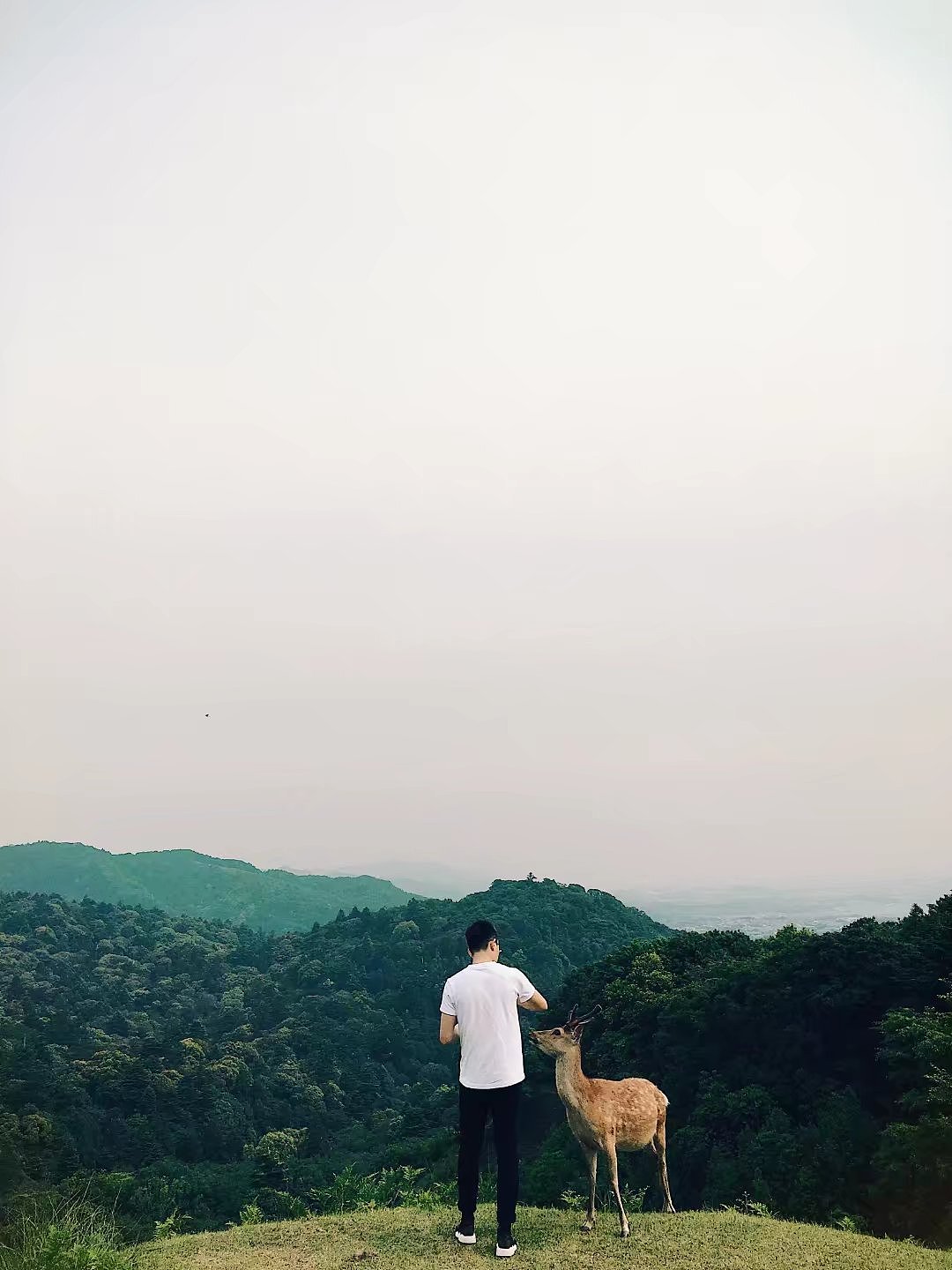 日本京都一周游