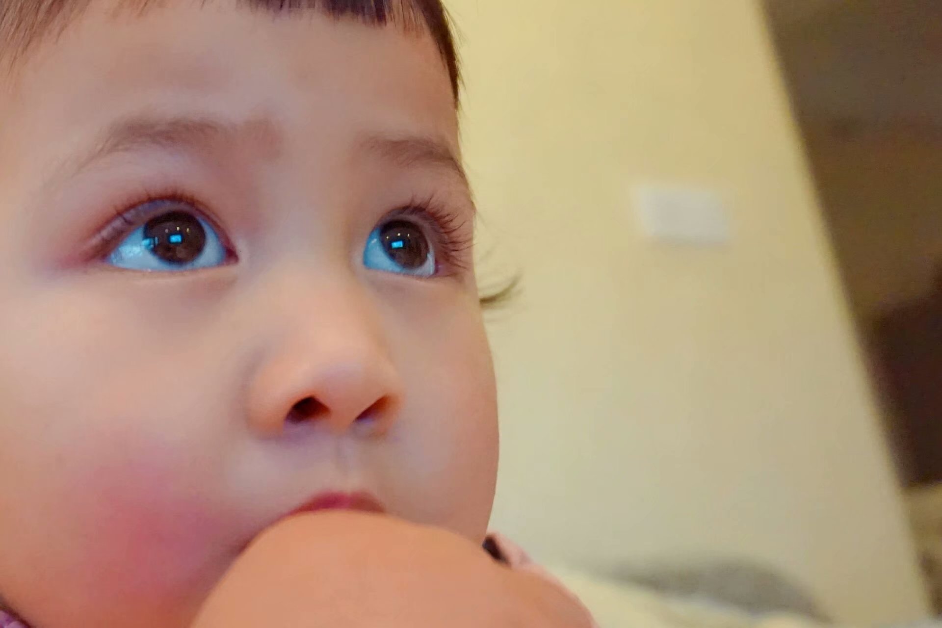 美丽的阿崔的个人主页（封面预览） - 主页封面设置 - 站酷设计师美丽的阿崔原创素材 - 站酷ZCOOL