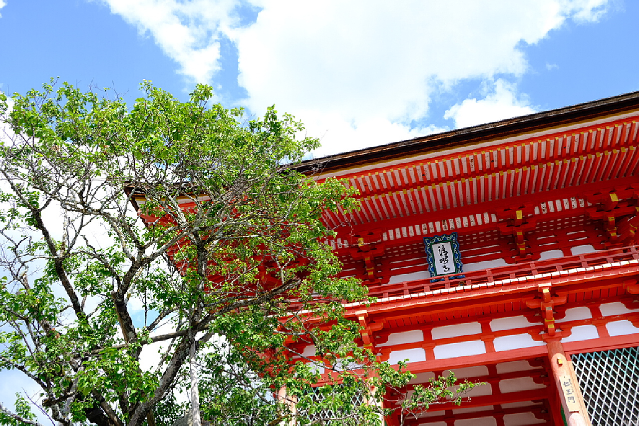 【京都】清水寺的7個超人氣景點｜絕景日本