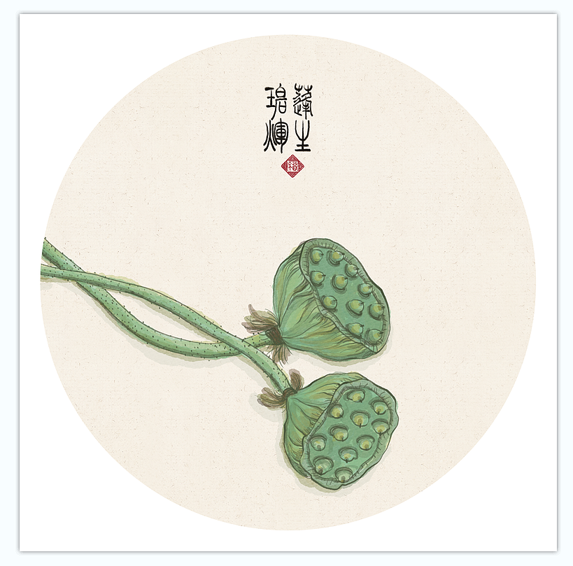 新中式莲蓬莲花插画