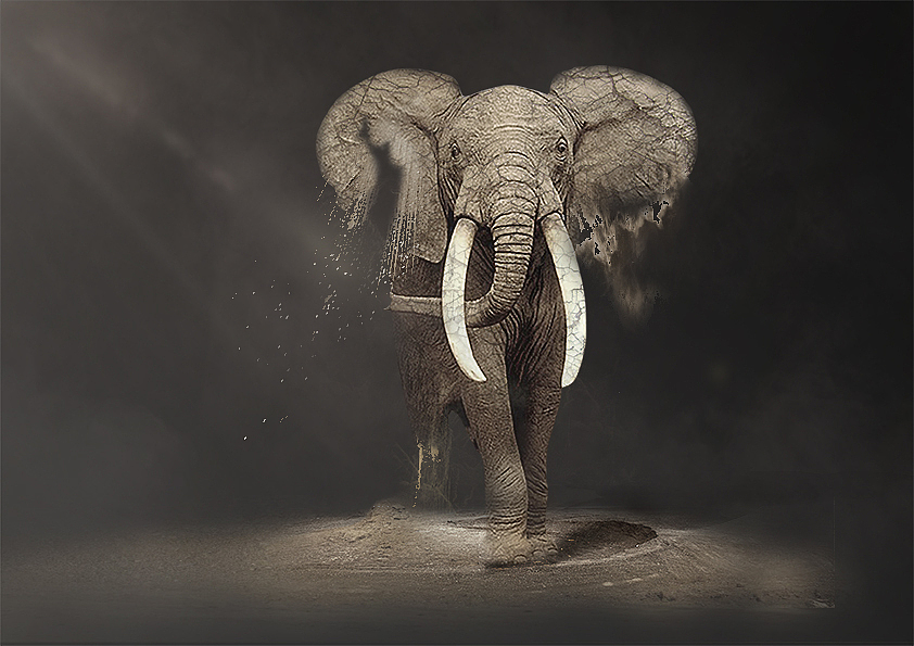 合成类公益海报——沙化野生动物（图ZMTM2MTA0MDI0） - 海报 - 站酷设计师设计是空丶原创素材 - 站酷ZCOOL