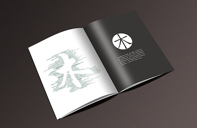 给客户初步提案的一本画册