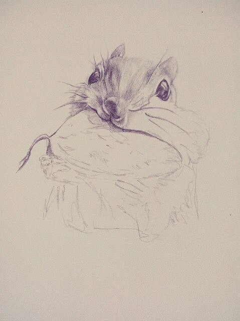 萌寵（圖ZMTQ5MDkyMjg=） - 繪畫 - 站酷設(shè)計師鐵錘幺妹兒原創(chuàng)素材 - 站酷ZCOOL