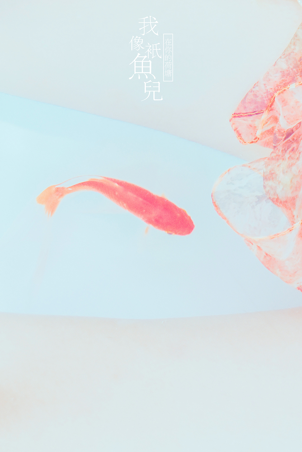 我像只鱼儿（图ZODkyNjI5NDA=） - 人像摄影 - 站酷设计师雷影集原创素材 - 站酷ZCOOL