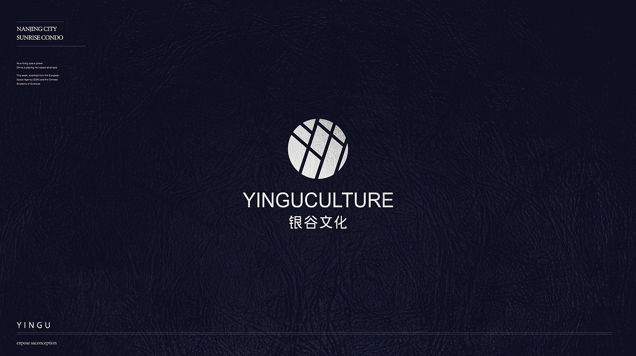 银谷（图ZMTI3NTcxNDAw） - Logo - 站酷设计师南京动力品牌设计原创素材 - 站酷ZCOOL