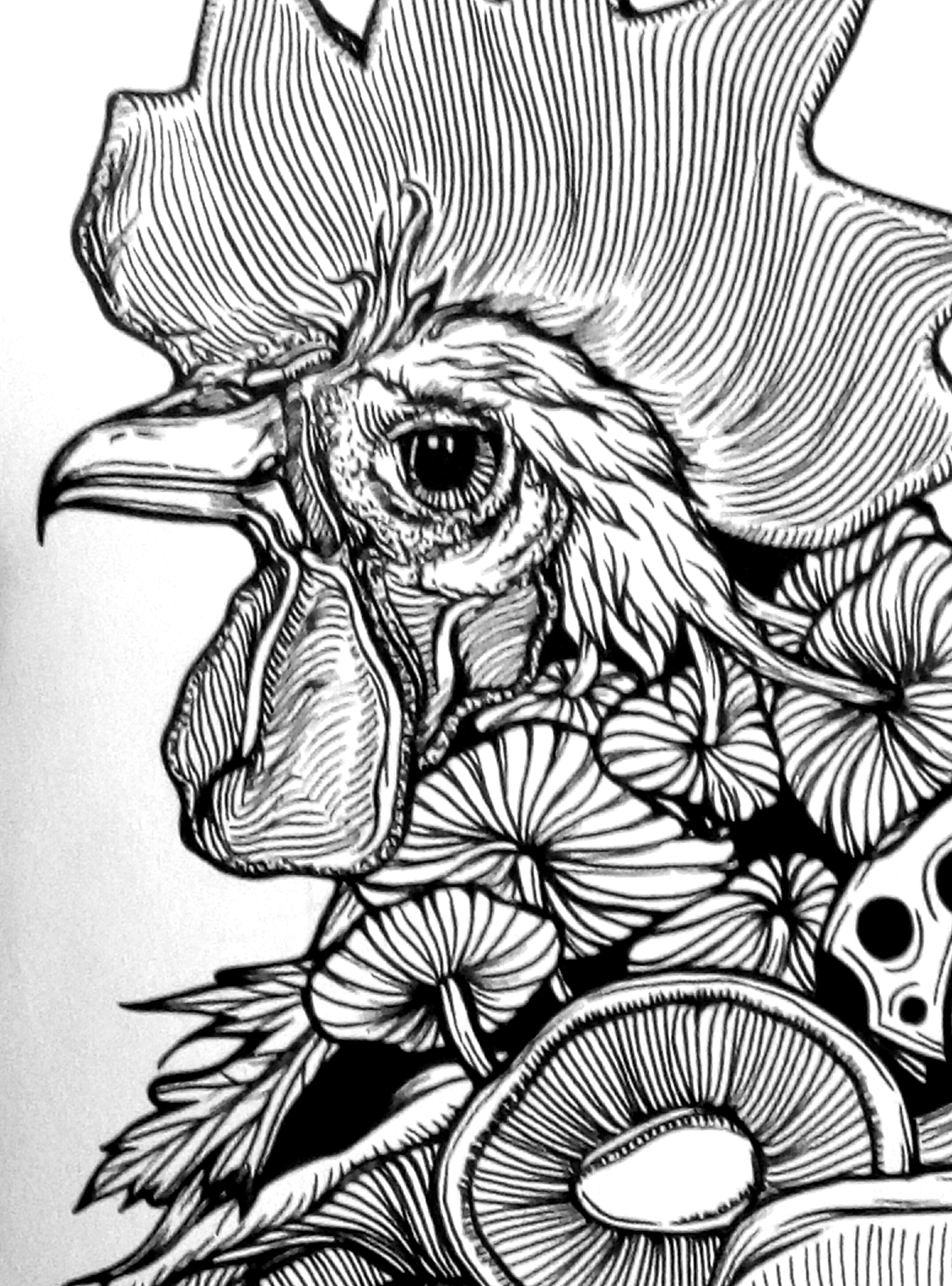 小鸡炖蘑菇的绘画图片图片