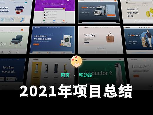 2021年项目总结