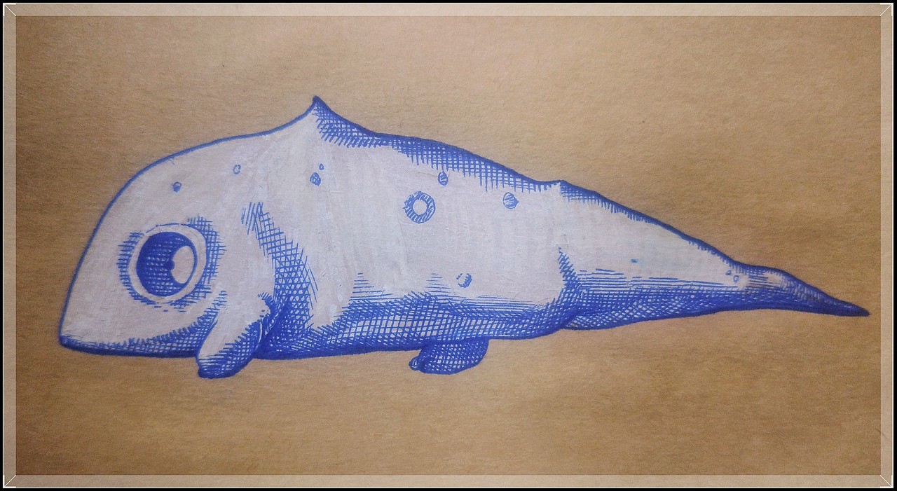 初代奥特曼系列 1|其他|其他|爬在岸上的鱼 - 原创作品 - 站酷 (zcool