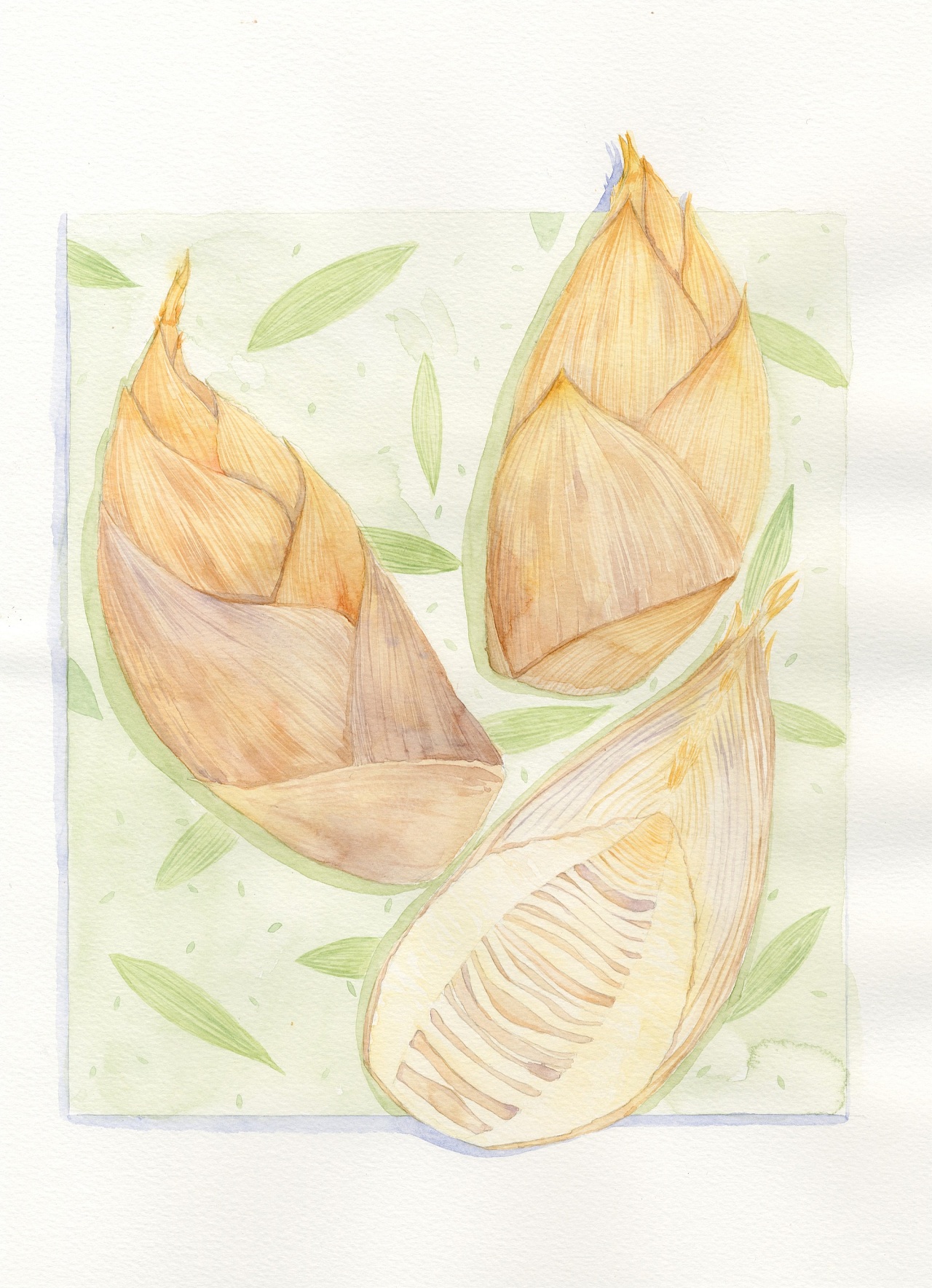 二十四节气时令蔬菜