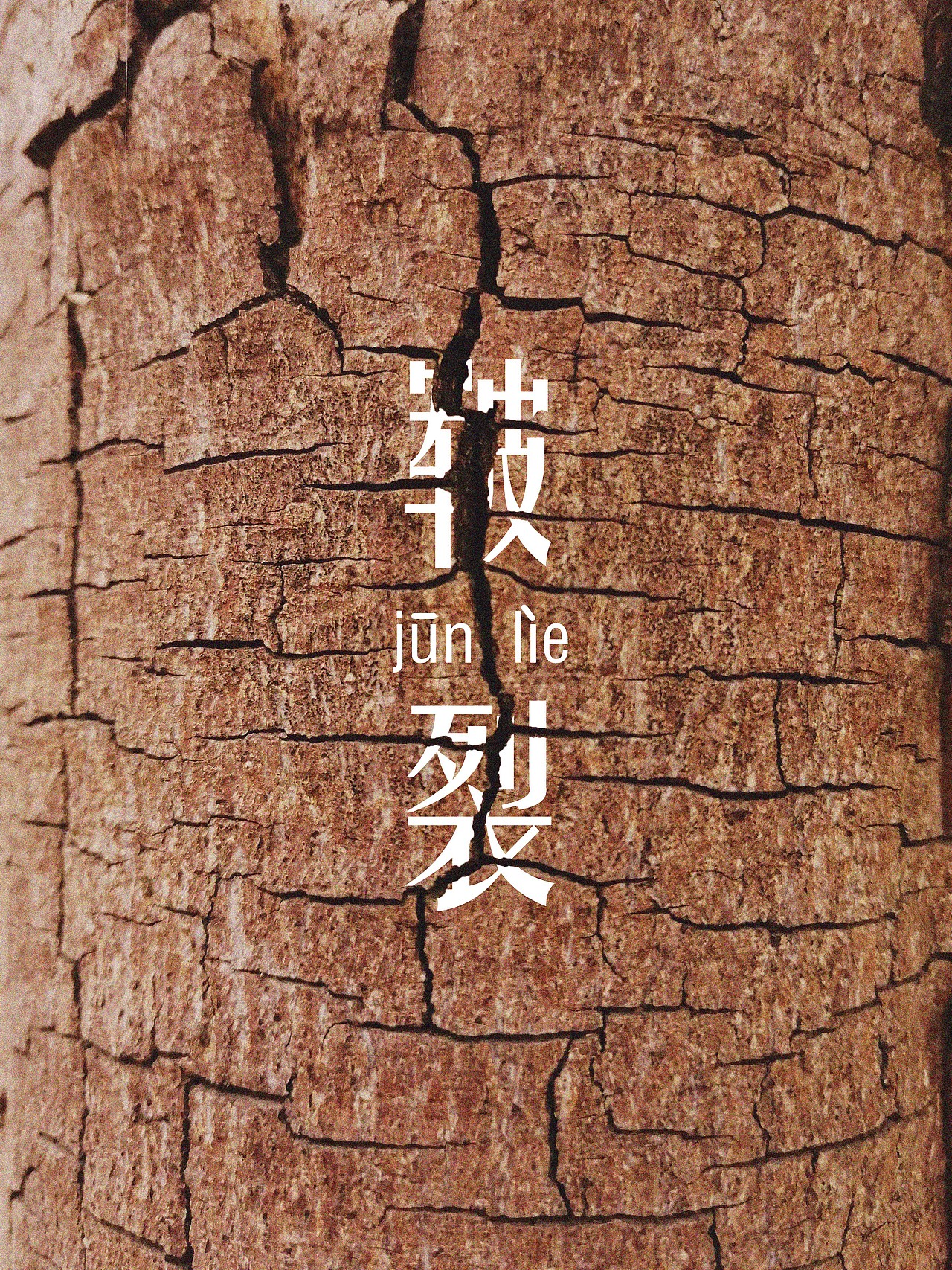 树干 岩石 枯草 朽木 /微观语言/（图ZMjAwMDE0NTE2） - 人文/纪实摄影 - 站酷设计师Paprikajk原创素材 - 站酷ZCOOL