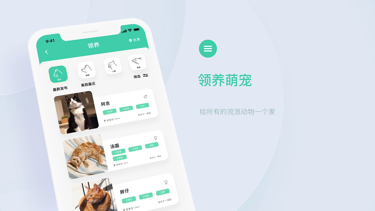 宠物领养踪迹寻找手机app界面交互视频ae展示动画