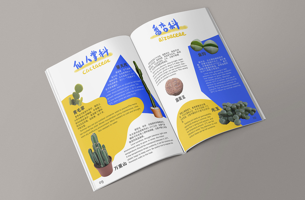 版式设计 画册|•'-'•)و✧