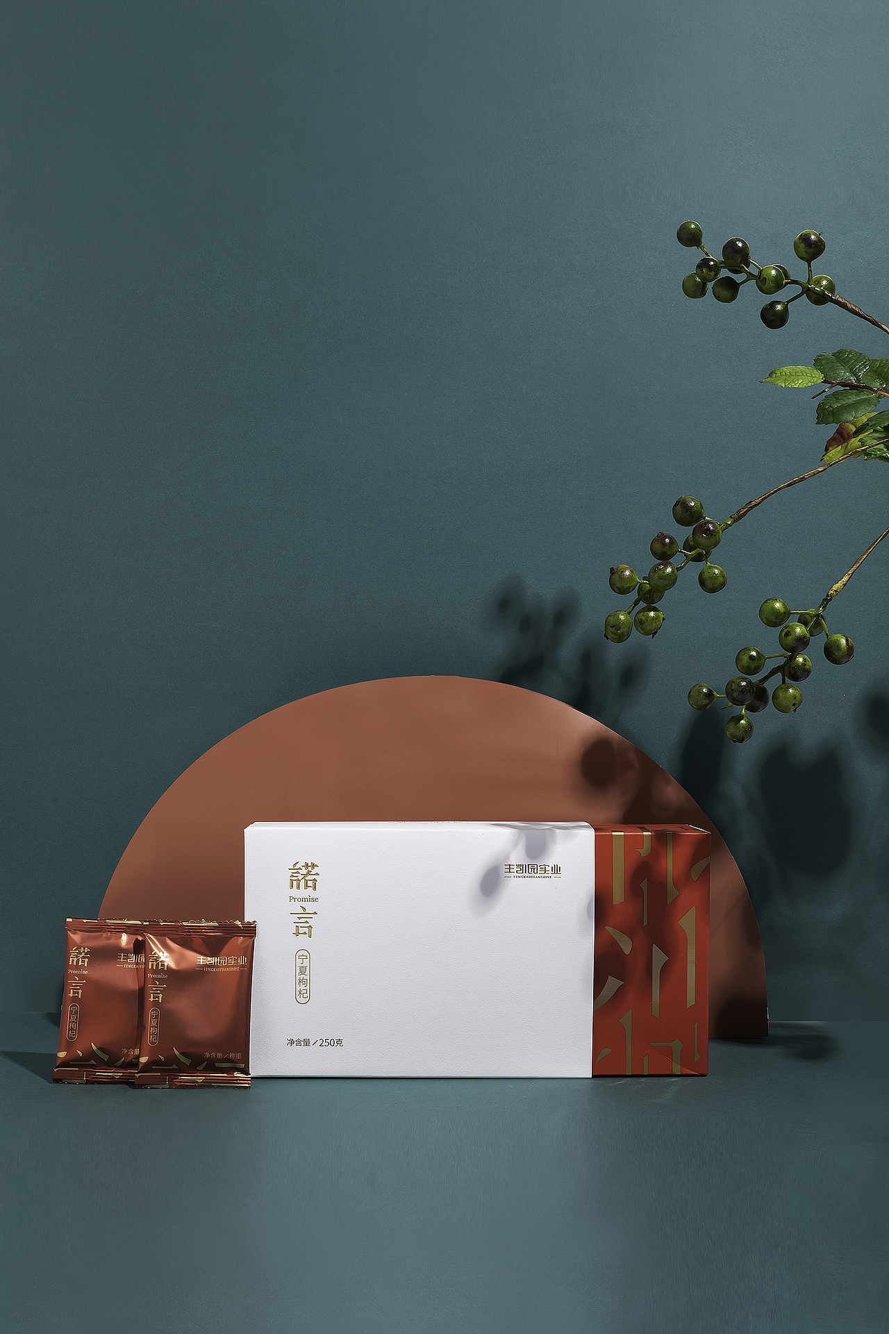 枸杞（图ZMTgwMjkxMzYw） - 产品摄影 - 站酷设计师柚子KING原创素材 - 站酷ZCOOL