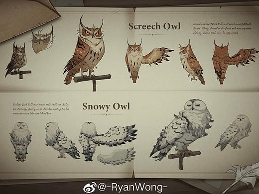 《哈利波特·魔法觉醒》的一些项目图