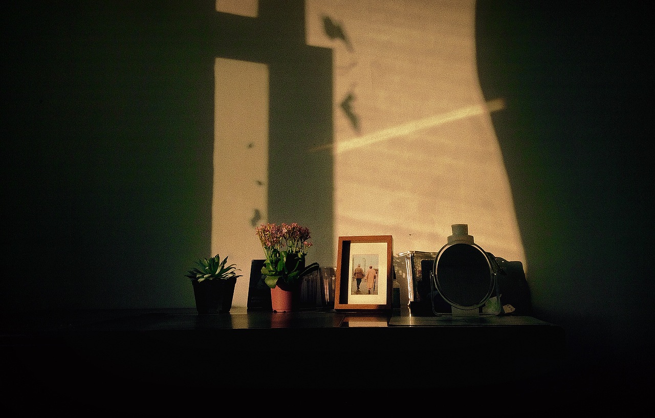 -365DAYWORKS[losseven]（图ZMTAyNjA5MTky） - 其他摄影 - 站酷设计师洛柒losseven原创素材 - 站酷ZCOOL