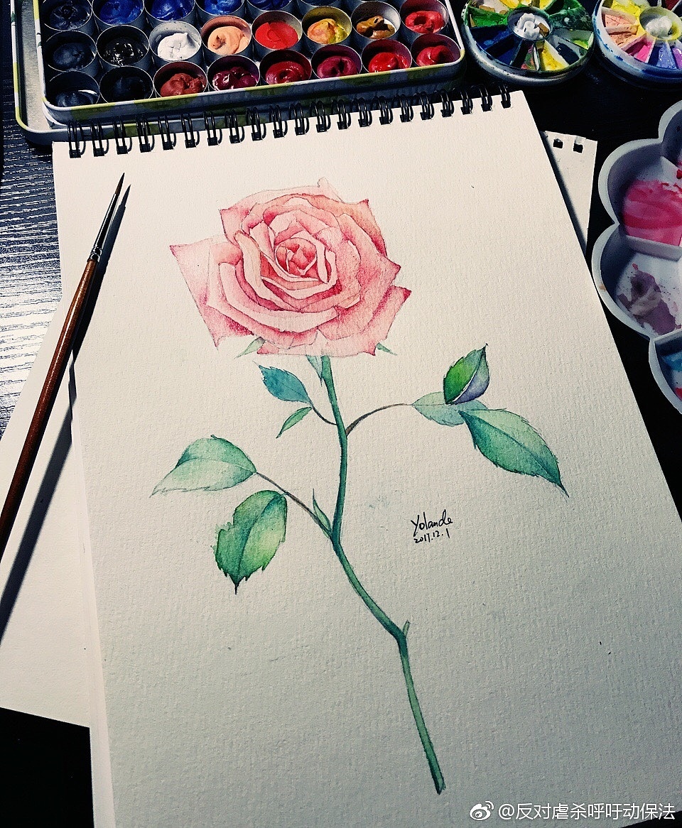 水彩画（图ZMTIzNzc3MDA4） - 新锐潮流插画 - 站酷设计师yolandayuan原创素材 - 站酷ZCOOL