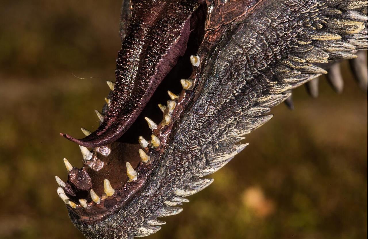 权利的游戏冰与火之歌卓耿龙模型手办雕像