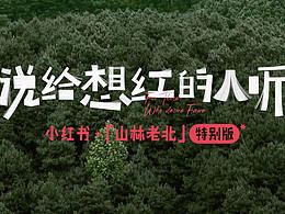 露营