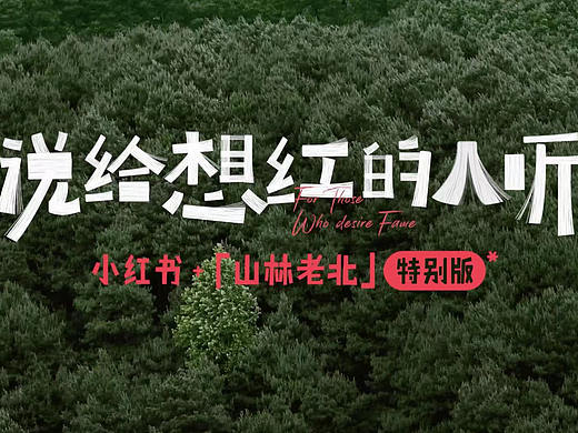 山林老北@张震岳 小红书特别版