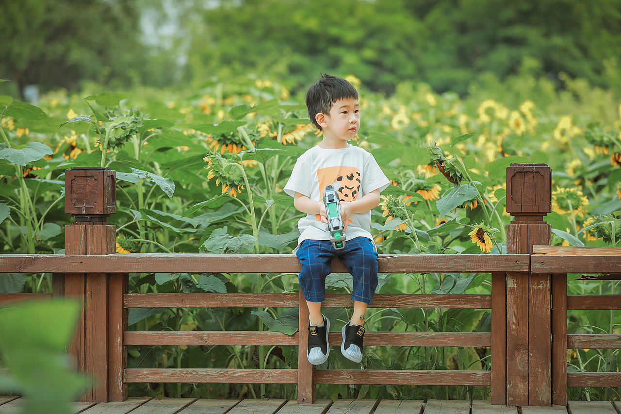小希学长拍娃记 | 葵园童趣